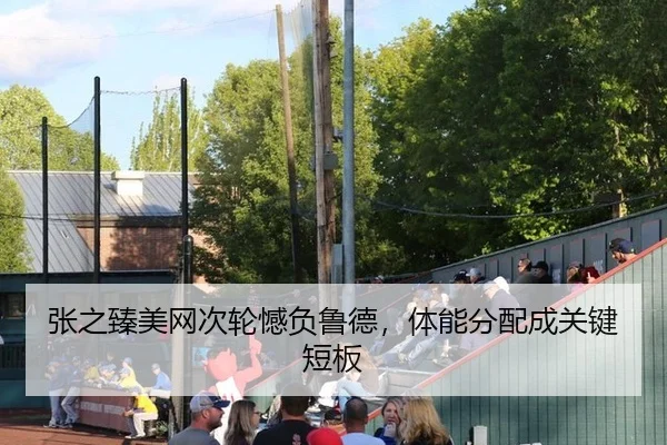 张之臻美网次轮憾负鲁德，体能分配成关键短板